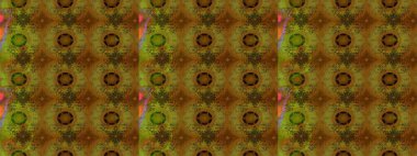 Raster Henna tarzı. Tebrik kartı geçmişi, boyama kitabı, arkaplan ve tekstil için kullanılabilir. Etnik Mandala havlusu. Taslak süsleme izi. Sınır Hindistan çiçek desenli paisley patentli.