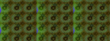 Çiçekli çiçek deseni, suluboya. Raster deseni. Süslü kumaş deseni.