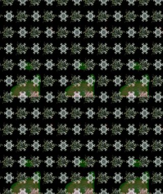 Raster illüstrasyonundaki çiçek desenli çizim. Suluboya tarzında siyah renkte çiçekler.