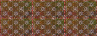 Sınır Kızılderili çiçekli paisley patten. Etnik Mandala havlusu. Raster Henna tarzı. Tebrik kartı geçmişi, boyama kitabı, arkaplan ve tekstil için kullanılabilir. Kusursuz süs izi..