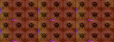 Çok kahverengi ve kırmızı zarif küçük çiçekler ve kahverengi ve kırmızı renkli komik böcekler, raster desen, illüstrasyon.