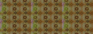 El yapımı çiçek ve bitki koleksiyonu. Raster illüstrasyonu. Eskiz tarzı kahverengi ve bej renklerde. Şirin karalamalı çiçek desenli çizim. Raster illüstrasyonu.