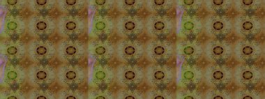 El yapımı çiçek ve bitki koleksiyonu. Raster illüstrasyonu. Eskiz tarzı kahverengi ve bej renklerde. Şirin karalamalı çiçek desenli çizim. Raster illüstrasyonu.