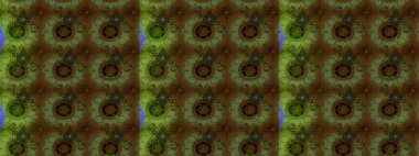 Renkli çizim kalıbı. Çiçek arkaplan. Çiçek duvar kâğıdı. Raster illüstrasyonu. Kahverengi ve yeşil renkli şirin tekstil.