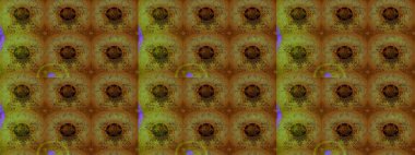 Raster çiçek desenleri çiziyor. Vadinin çiçekleri kahverengi ve yeşil renklerde.