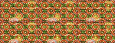 Kahverengi renklerde altın element. Süslü raster dekorasyonu. Lüks, kraliyet ve Viktorya dönemi konsepti. Eskimiş barok çiçekli, kahverengi yerine altın desenli..