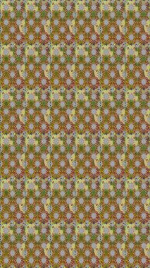 Çiçek desenleri kahverengi ve gri renklerde, el yapımı papatyalar, papatyalar. Tekrar eden çiçek arkaplanı, zarif kahverengi ve gri çiçek duvar kağıdı.