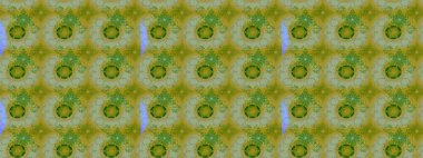 Raster düz çiçek çizim deseni. Hediye ambalaj kağıdı, tebrik kartları, posterler ve pankart tasarımı. Yeşil ve nötr renkte çiçekler.