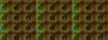 Yapraklı çiçekler ve kahverengi ve yeşil renklerde papatya çiçekleri. Eskiz arkaplan modeli. Raster - stok.