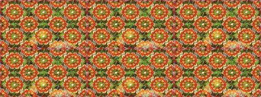 El yapımı dekoratif çerçeve, albüm kapağı, tebrik kartı, klasik Art deco tarzı. Raster soyut çiçek çelengi altın karalama fantezi yaprakları ve kahverengi renkte çiçek.