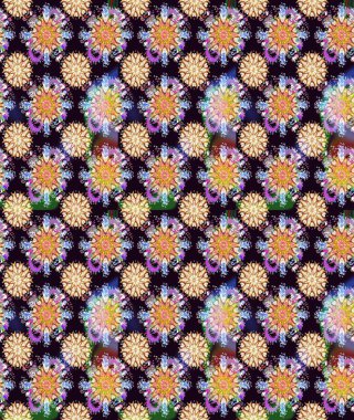 Siyah renkli çiçekler. Renkli Bahar Teması eskiz kalıbı. Güzel çiçek deseni. Düz Çiçek Elementleri Tasarımı.