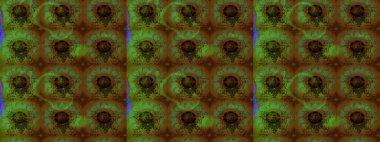 Sabıka fotoğraflarında, bebek kıyafetlerinde, duvar kâğıtlarında, paket kutularında falan kullanılabilir. Zarif, parlak ve eskiz kahverengi çiçek desenli tasarım. Raster..