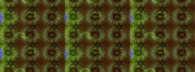 Düz Çiçek Elementleri Tasarımı. Güzel çiçek deseni. Renkli çiçekler. Renkli Bahar Teması çizim şablonu.