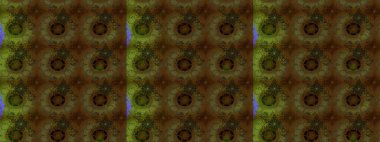 Botanik çizim kalıbı. Organik elementler. Suluboya etkisi. Raster deseni.