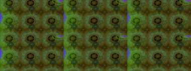 Raster illüstrasyonu. Yeşil renkli yeşil papatya deseni. Yeşil renklerde.