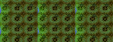 Eskiz geçmişi. Raster. Tomurcukları çiçek olan sevimli bir çiçek deseni. Eski usul. Kumaş, tekstil, duvar kağıdı baskısı için. Raster illüstrasyonu.