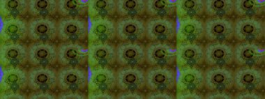 Raster illüstrasyonu. Yeşil renkli yeşil papatya deseni. Yeşil renklerde.