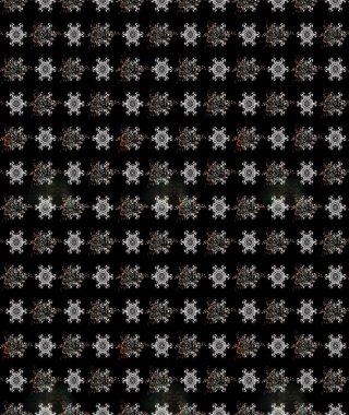 Nazik, yaz çiçekleri siyah renklerde. Çiçekli karalama şeklinde Raster çiçek deseni. Raster illüstrasyonu.