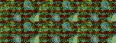 Dekorasyon ve tasarım için güzel bir desen. Moda baskısı. Raster illüstrasyonu. Suluboya çizim kalıbı. Çiçeğin suluboya çizimlerinin mükemmel deseni. Eski.