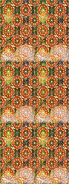 Damask pürüzsüz süsü. Geleneksel raster ve altın desen. Kahverengi renkler üzerinde klasik oryantal desen.