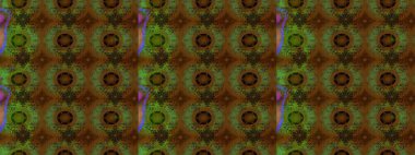 Eskiz modeli etnik tasarım. Çiçekleri, deniz kabukları, mandalaları ve suluboya efektleriyle donanma geçmişi. Yatak çarşafları, ceket, paket tasarımı, kumaş ve moda kavramları için tekstil baskısı.