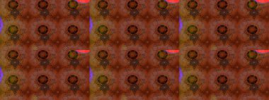 Şirin çiçekli, desenli, kahverengi ve kırmızı renklerde renkli bir eskiz deseni. El çizimi çiçek çizimi deseni (fayans). Tekstil için suluboya çizim deseni.