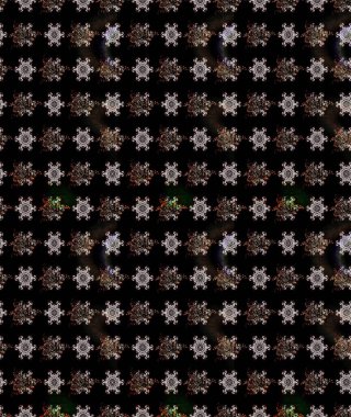 Siyah renkli çiçekler. Nazikçe, güzel çiçek arkaplanı. Raster çiçek desenli ve çiçekli..