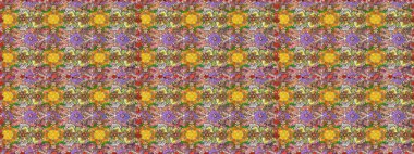 Çiçekler, yapraklar, dekoratif elementler, sıçramalar, lekeler, el çizimleri çizimleri ve Doodle çizimleri, grafik raster çizimleri.