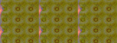 Raster. Renklerde güzel çiçekler olan eskiz deseni, suluboya çiçek deseni, duvar kağıdı, kart veya kumaş için fayanslı..