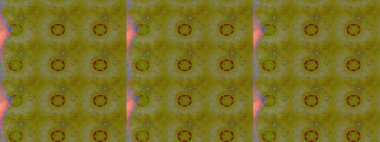 Raster. Renklerde güzel çiçekler olan eskiz deseni, suluboya çiçek deseni, duvar kağıdı, kart veya kumaş için fayanslı..