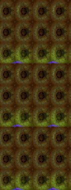 Raster Henna tarzı. Taslak süsleme izi. Sınır Kızılderili çiçekli paisley patten. Etnik Mandala havlusu. Tebrik kartı arkaplanı, boyama kitabı, arkaplan, tekstil için kullanılabilir.