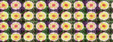 Raster illüstrasyonundaki çiçek desenli çizim. Yeşil renkli çiçekler. Renkli Bahar Teması eskiz kalıbı. Düz Çiçek Elementleri Tasarımı.