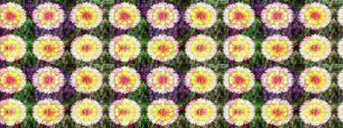 Raster illüstrasyonundaki çiçek desenli çizim. Yeşil renkli çiçekler. Renkli Bahar Teması eskiz kalıbı. Düz Çiçek Elementleri Tasarımı.