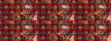 Kızılderili desenli desenli desenli şal deseni. Etnik Mandala süsü. Raster Henna dövme stili. Tekstil, tebrik kartı, boyama kitabı, telefon kılıfı baskısı için kullanılabilir.