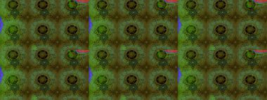 Soyut etnik raster çizim kalıbı. Çiçekler. Vadinin renkleri.