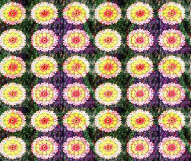 Soyut etnik raster çizim kalıbı. Arkaplan dokusu, duvar kağıdı, sarı ve yeşil renkli çiçek teması. Kabile sanatı boho baskısı, klasik çiçek arkaplanı.