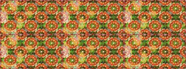 Geleneksel raster ve altın desen. Kahverengi renkler üzerinde klasik oryantal desen. Damask pürüzsüz süsü.