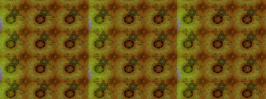 Çiçekli el çizimi çizimi deseni. Modern gelişim kahverengi ve yeşil raster arkaplan duvar kağıdı resimleme klasik çizgili iz sürme desenli çiçekler, çiçekli süsler.