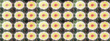 Çiçekli karalama şeklinde Raster çiçek deseni. Yumuşak, yaz çiçekli arka plan. Tarafsız renklerde çiçekler.