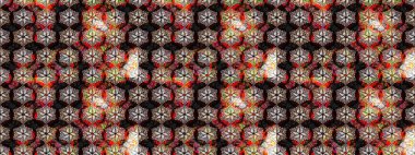 Sabıka fotoğraflarında, bebek kıyafetlerinde, duvar kâğıtlarında, paket kutularında falan kullanılabilir. Zarif, parlak ve eskiz siyah çiçek deseni tasarımı.