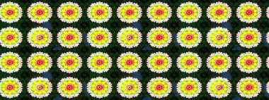 Yatak çarşafları, ceket, paket tasarımı, kumaş ve moda kavramları için tekstil baskısı. Çiçekleri, deniz kabukları, mandalaları ve suluboya efektleriyle donanma geçmişi. Çizim kalıbı etnik tasarım.