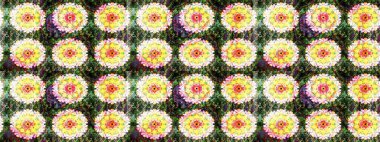 Zarif, parlak ve yeşil çiçek desenli bir taslak. Sabıka fotoğraflarında, bebek kıyafetlerinde, duvar kâğıtlarında, paket kutularında falan kullanılabilir. Raster..