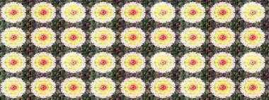 Çiçekli karalama şeklinde Raster çiçek deseni. Tarafsız renklerde yaz çiçekleri. Raster illüstrasyonu.