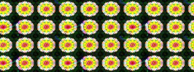 Raster illüstrasyonu. Sarı renkli güzel bir tekstil. Suluboya çiçekli çiçek deseni.