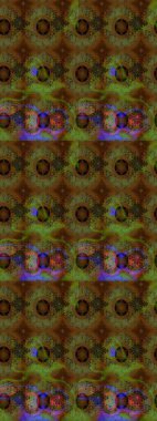 Renkli çiçekler. Yumuşak, bahar çiçekli arka plan. Raster çiçek desenli ve çiçekli..