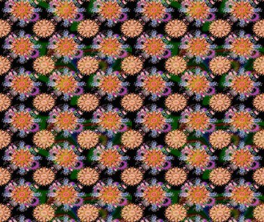 Tekrar eden çiçek arkaplanı, zarif siyah çiçek duvar kağıdı. Siyah renkler üzerine çiçek desenli çizimler, el yapımı papatyalar, papatyalar..