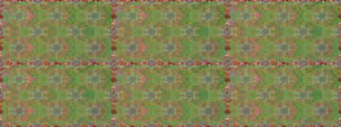 Etnik Mandala süsü. Kızılderili desenli desenli desenli şal deseni. Raster Henna dövme stili. Tekstil, tebrik kartı, boyama kitabı, telefon kılıfı baskısı için kullanılabilir.