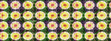 Ton halinde. Çiçeğin suluboya çizimlerinin mükemmel deseni. Dekorasyon ve tasarım için güzel bir desen. Suluboya desensiz çiçek buketi. Moda yazdırma.