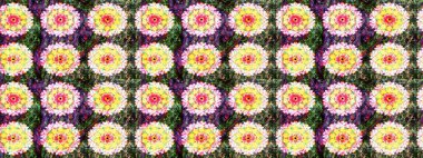 Klasik çiçek tasarımı elementleri. Tarafsız kıvırcık çiçekler tarafsız renklerde şekillenir. Raster illüstrasyonu.