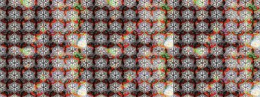 Robot resim. Moda baskıları için zarif bir şablon. Küçük çiçekte güzel bir desen. Küçük renkli çiçekler. Çiçekli yaz çiçekleri. Motley illüstrasyonu.